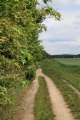 Feldweg