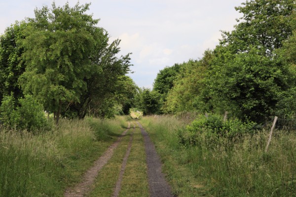 Pechpfuhlweg