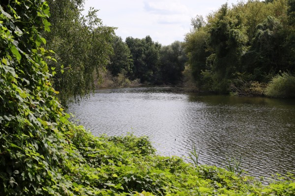  Buschgrabensee