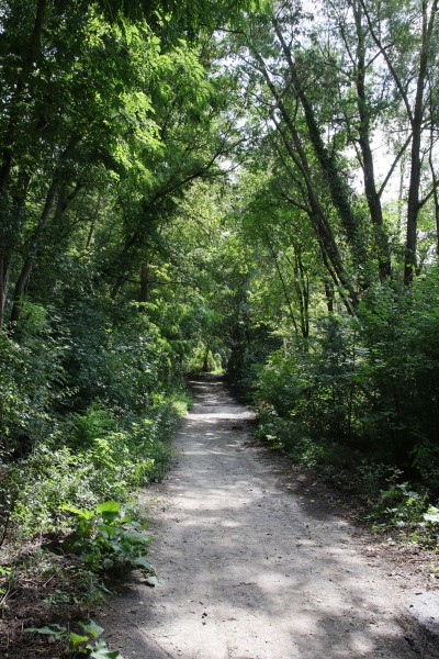 Uferweg Buschgrabensee