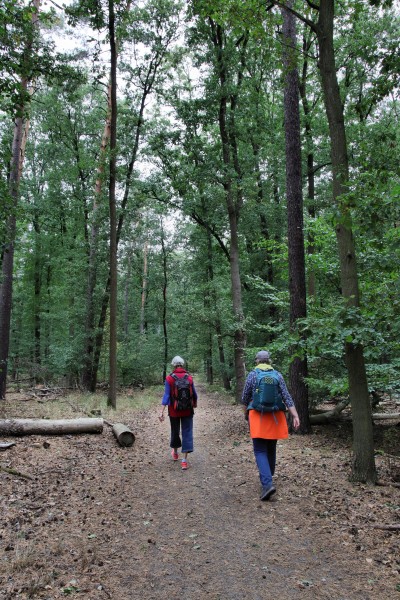 Waldweg