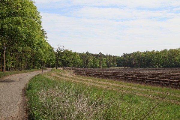 Verlorenorter Weg