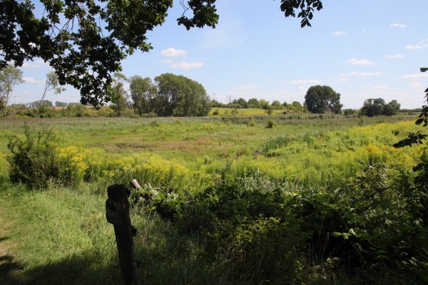 Schönerlinder Teiche