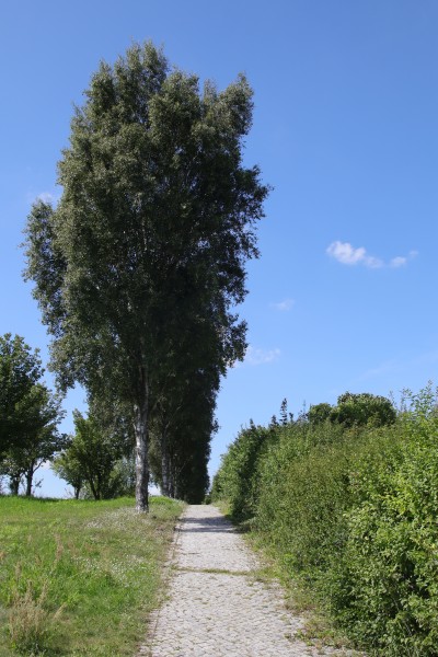 Wanderweg