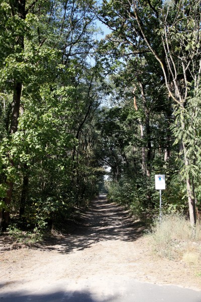 Waldweg