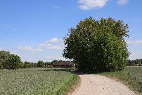 Tiergartenweg