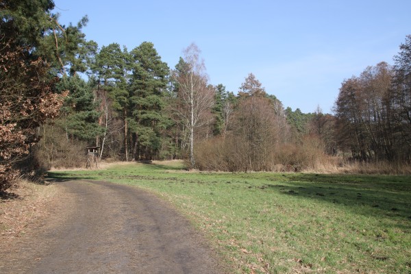 Waldweg