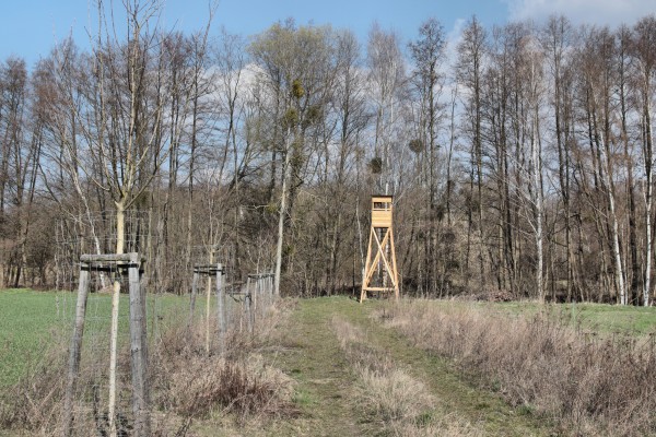 Hochstand