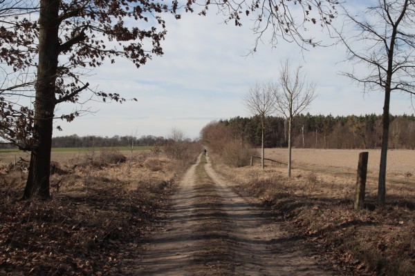 Glienicker Weg
