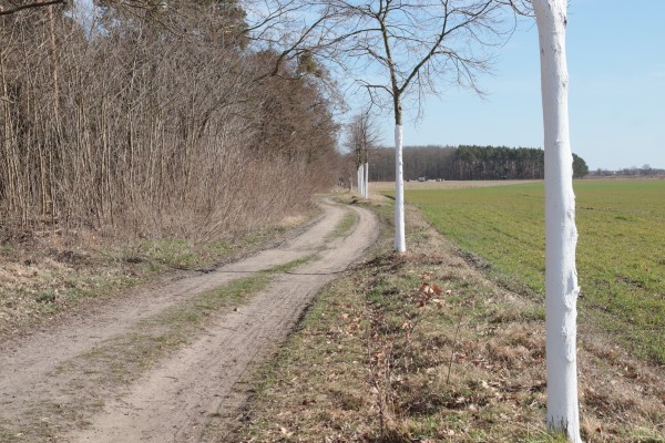 Glienicker Weg