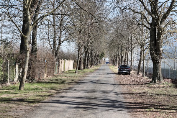 Satzkorner Weg