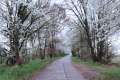 Stra�e des Friedens