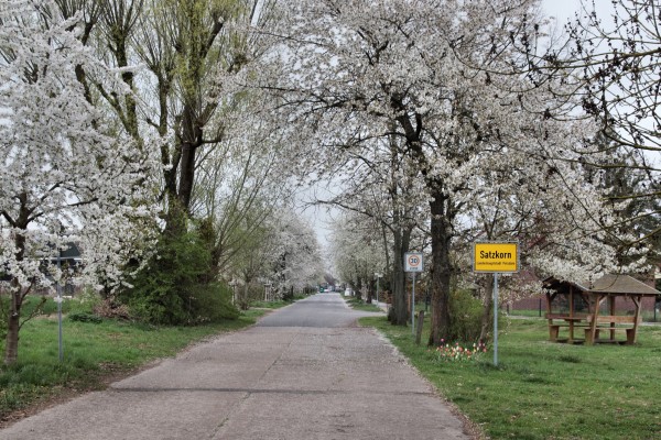 Straße des Friedens