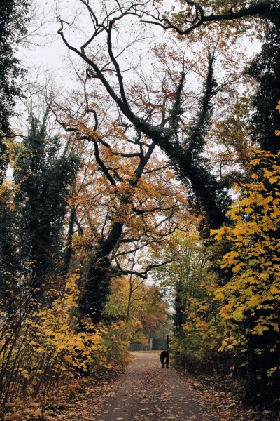 Uferpromenade