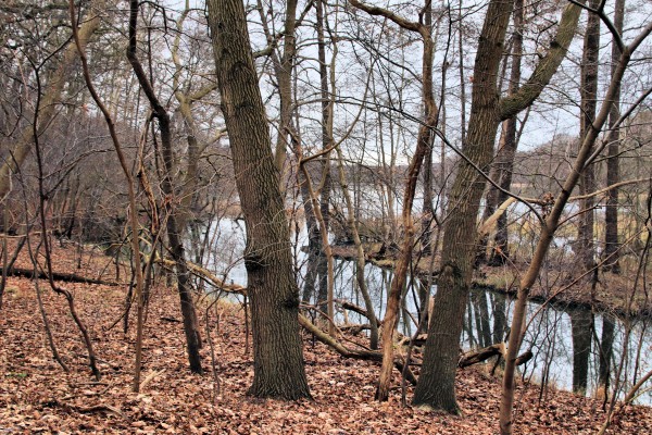 Krumme Lanke