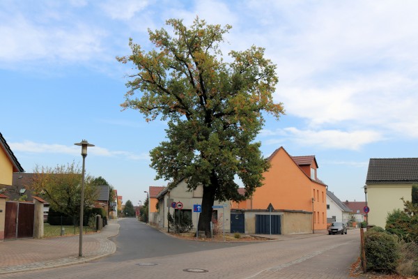 Kleinkoschener Straße
