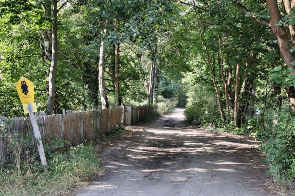 Waldweg