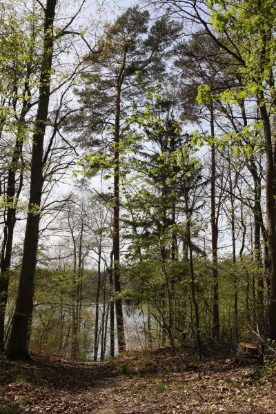 Turmgestell