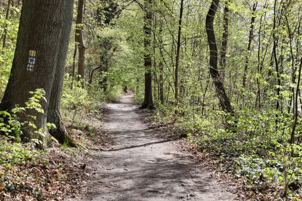 Uferweg