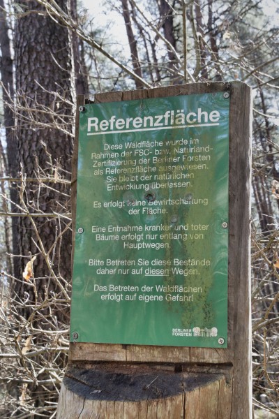 Referenzfläche