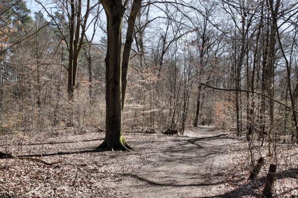 Gorinseerundweg