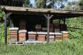 Bienenkästen