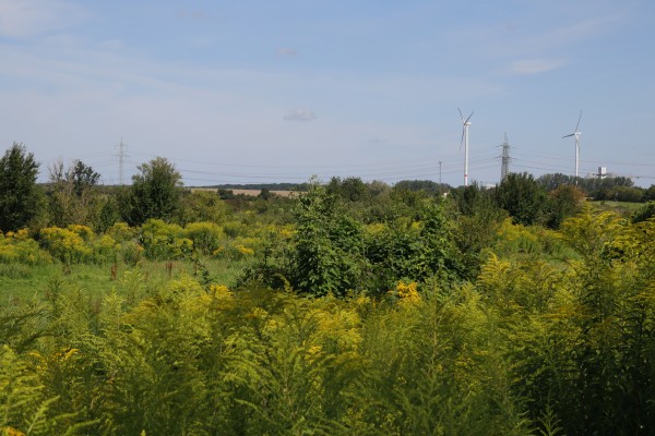 Schönerlinder Teiche