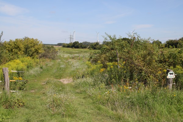 Schönerlinder Teiche