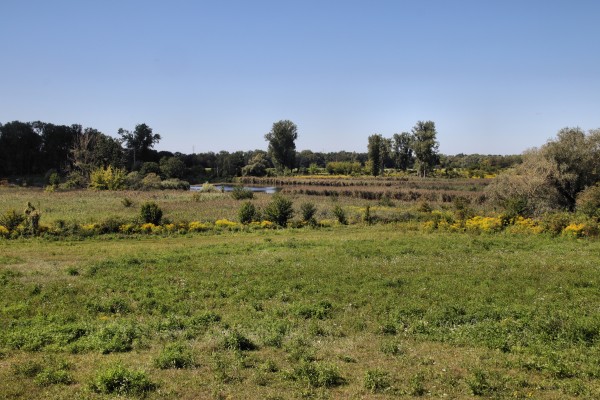 Schönerlinder Teiche