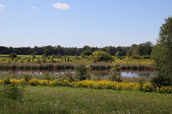 Schönerlinder Teiche