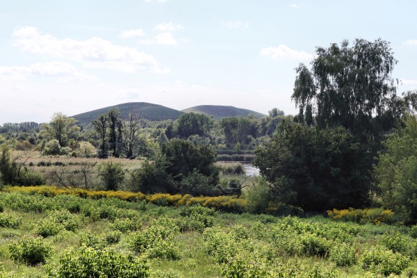 Schönerlinder Teiche