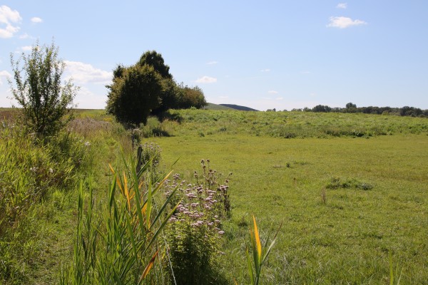 Schönerlinder Teiche