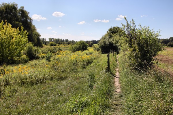 Schönerlinder Teiche