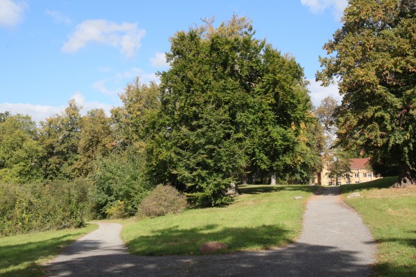 Schloßpark