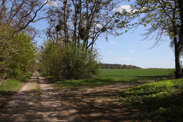 Akazienallee