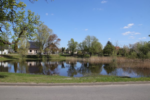 Dorfteich
