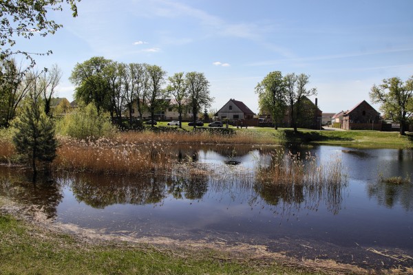 Dorfteich