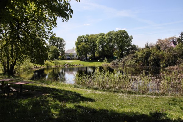 Dorfteich