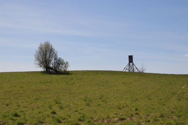 Feldflur