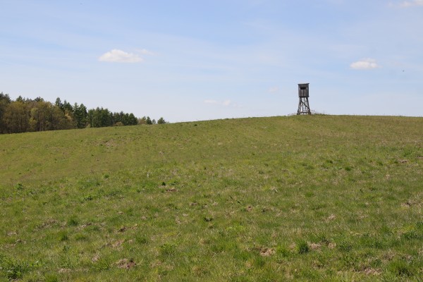 Feldflur