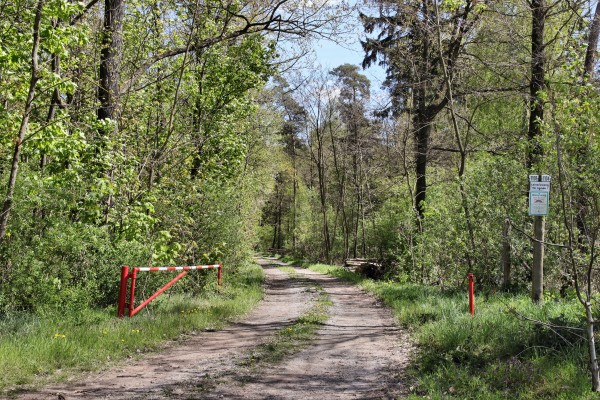 Waldweg