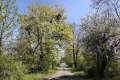 Werneuchener Stra�e
