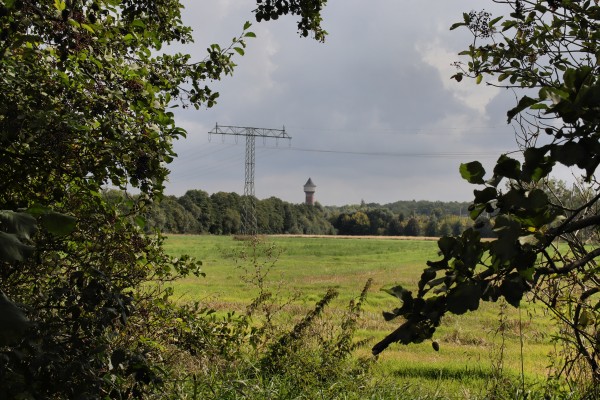 Elstalblick