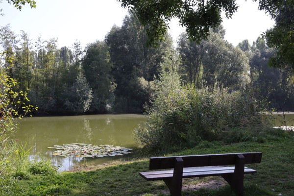 Angelteich