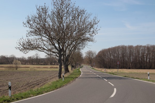Priorter Straße
