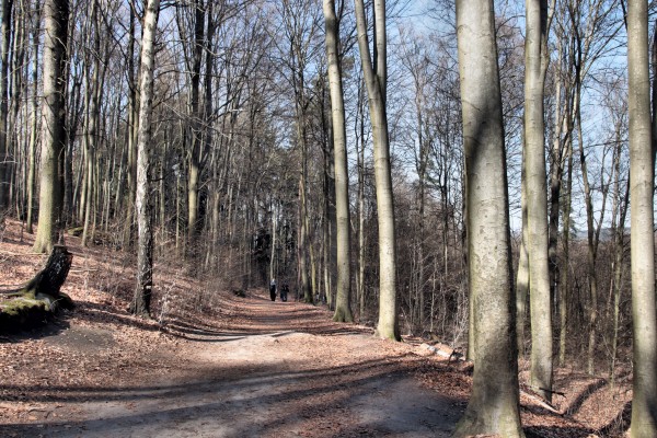 Kirchweg