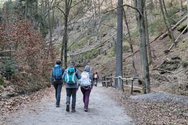 Amselgrund