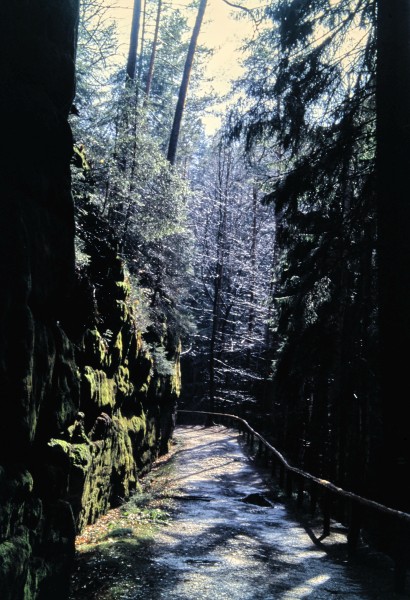 Füllhölzelweg