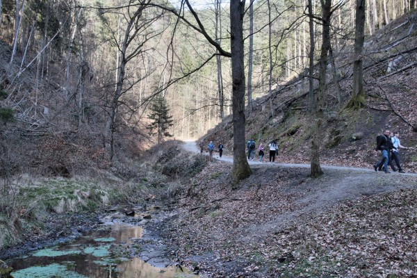 Höllgrund