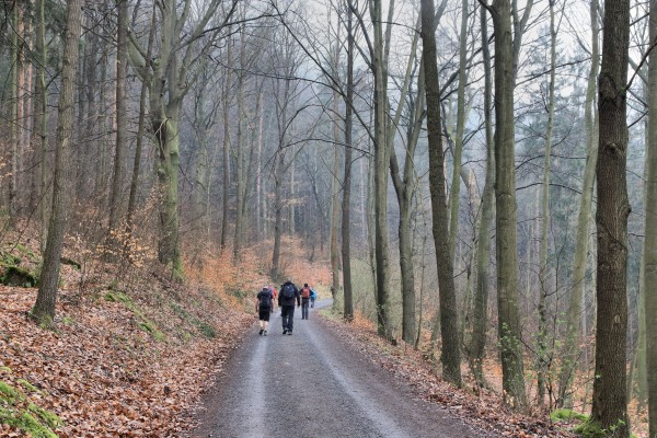 Hofmühlenweg